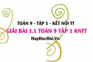 Giải 1.1 Toán 9 tập 1 SGK Kết nối tri thức